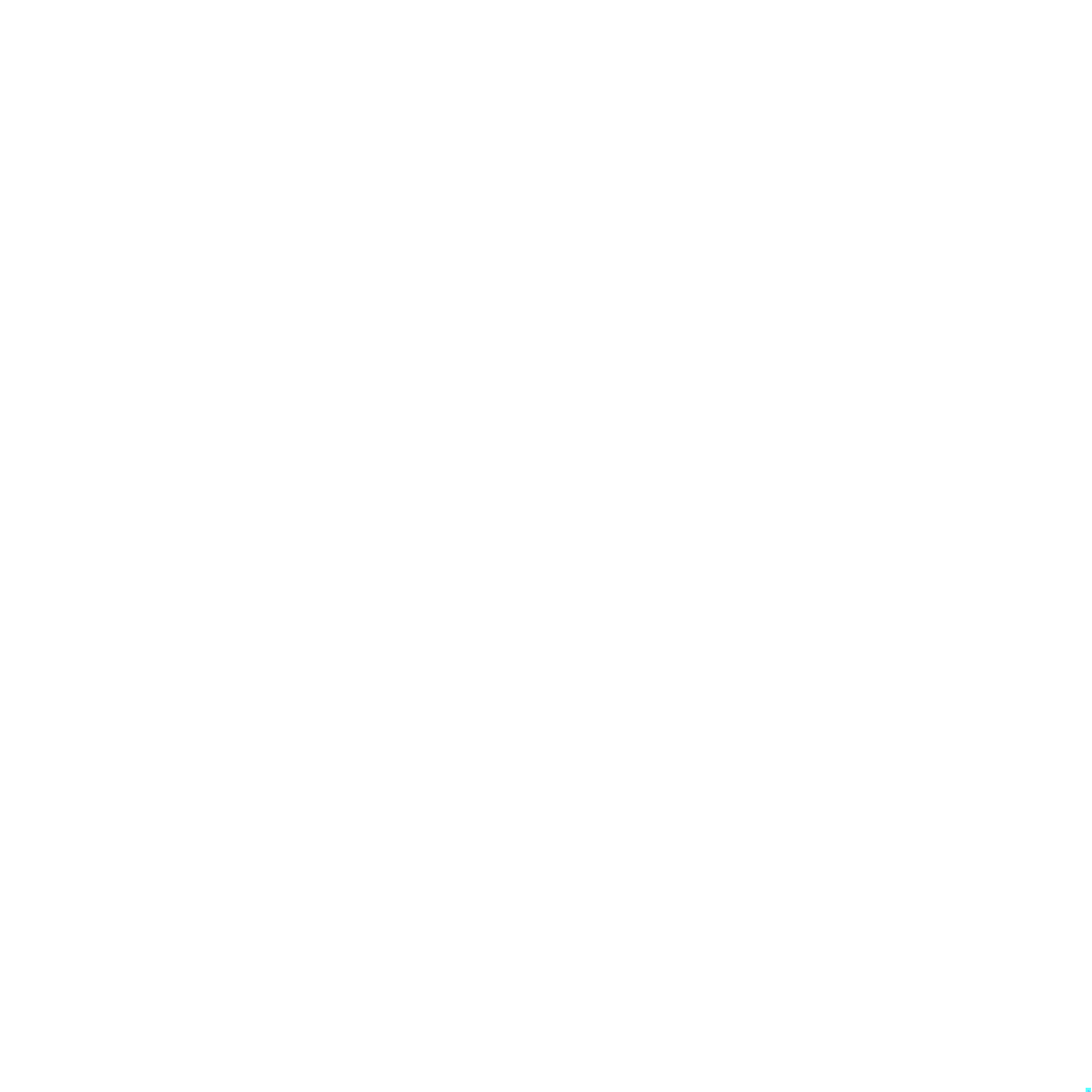 Quadrant 1