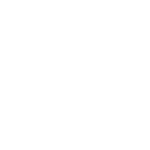 QR 1-113DFEBB94B5