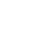 QR 1-118907FFF004